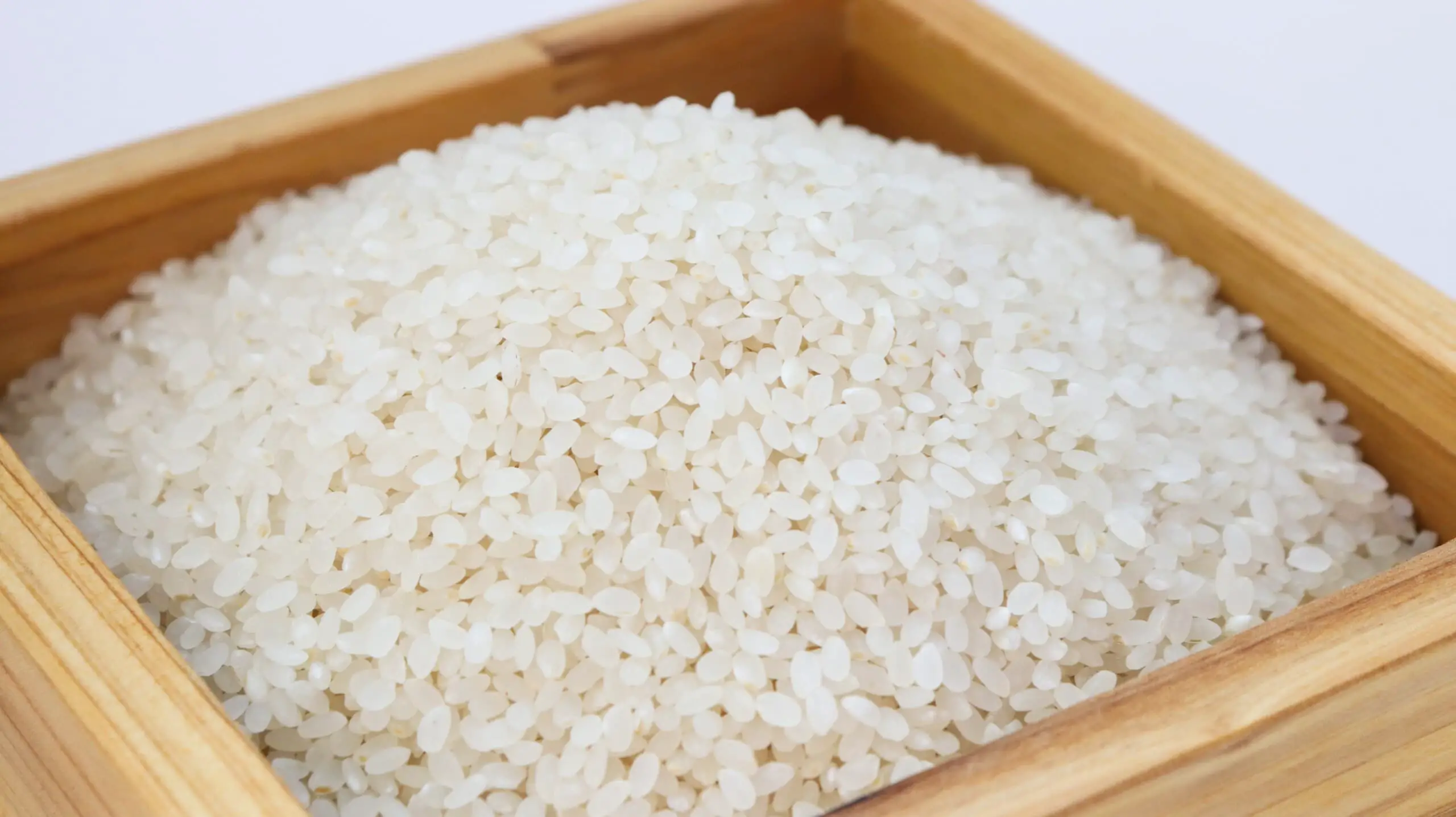 rice, white rice, korea