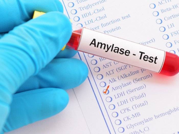 amylase and lipase