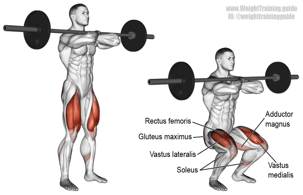 front squat vs back squat