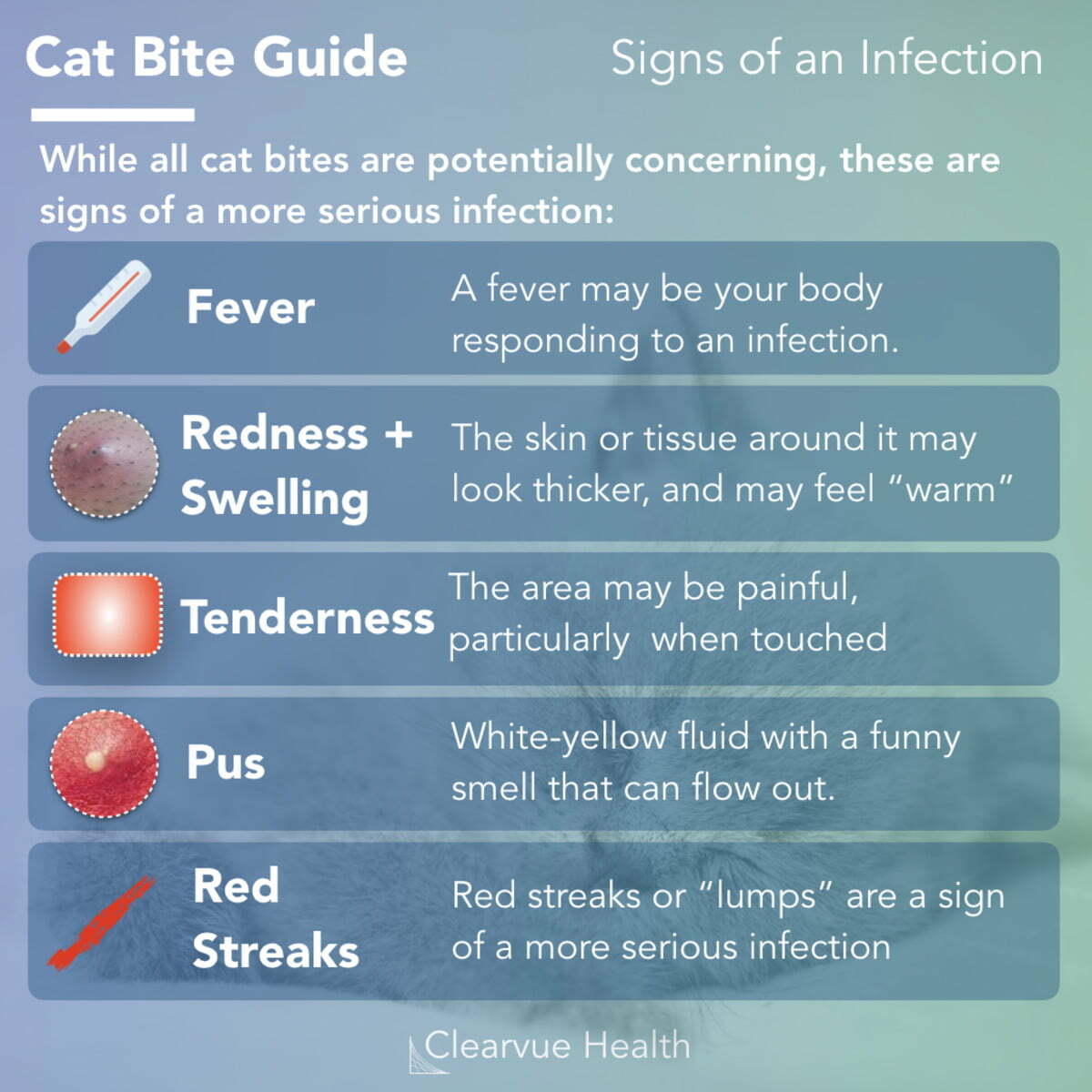 cat bite infection