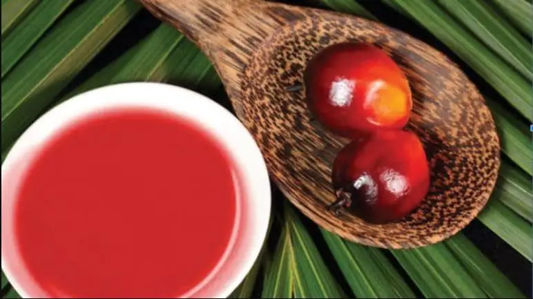 red palm oil