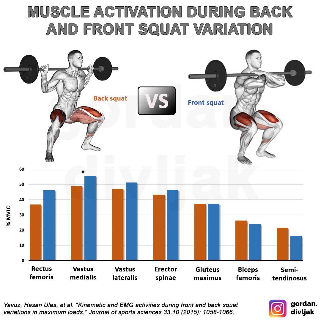 front squat vs back squat