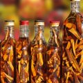 camphor oil, medicinal preparation, burma