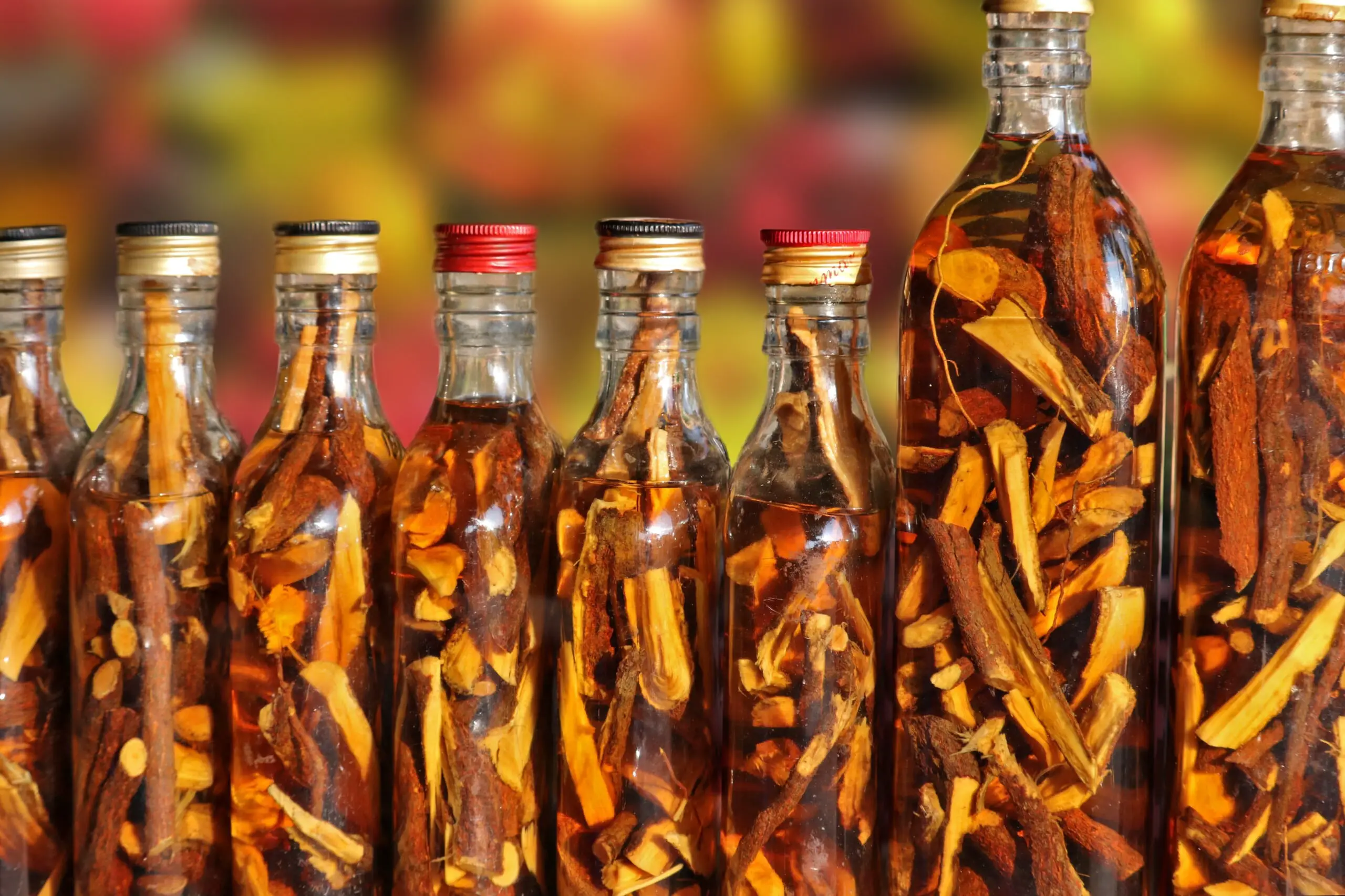 camphor oil, medicinal preparation, burma