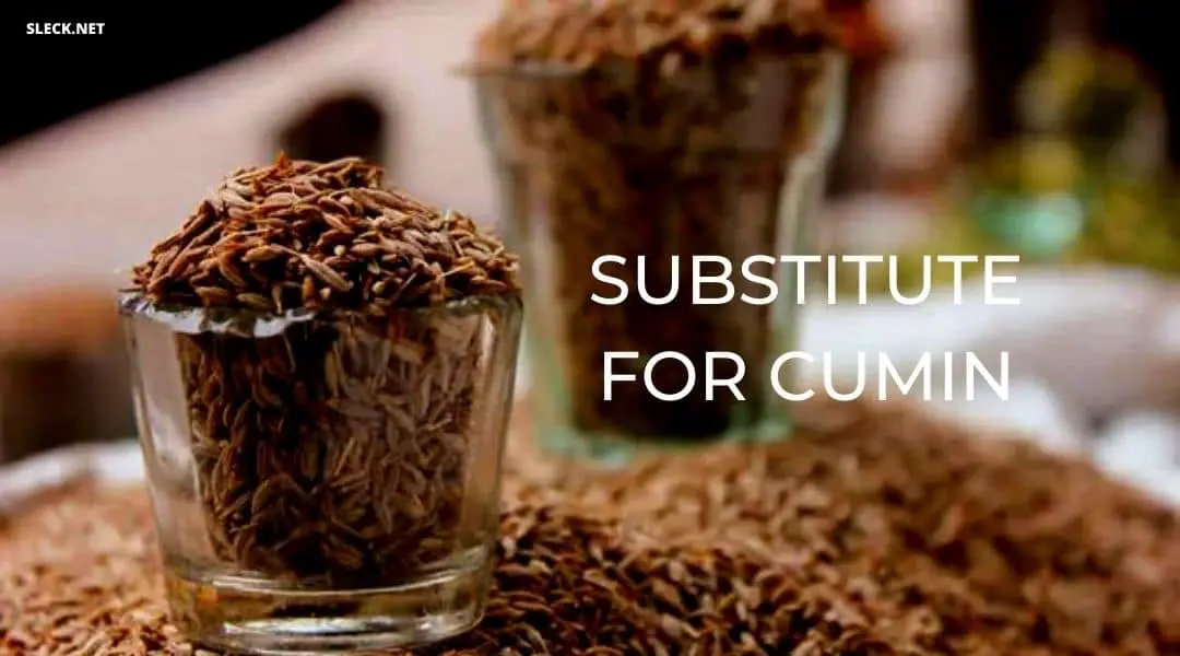 Substitute For Cumin: 10 Best Spices As Alternatives