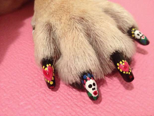 Dog Nail Polish