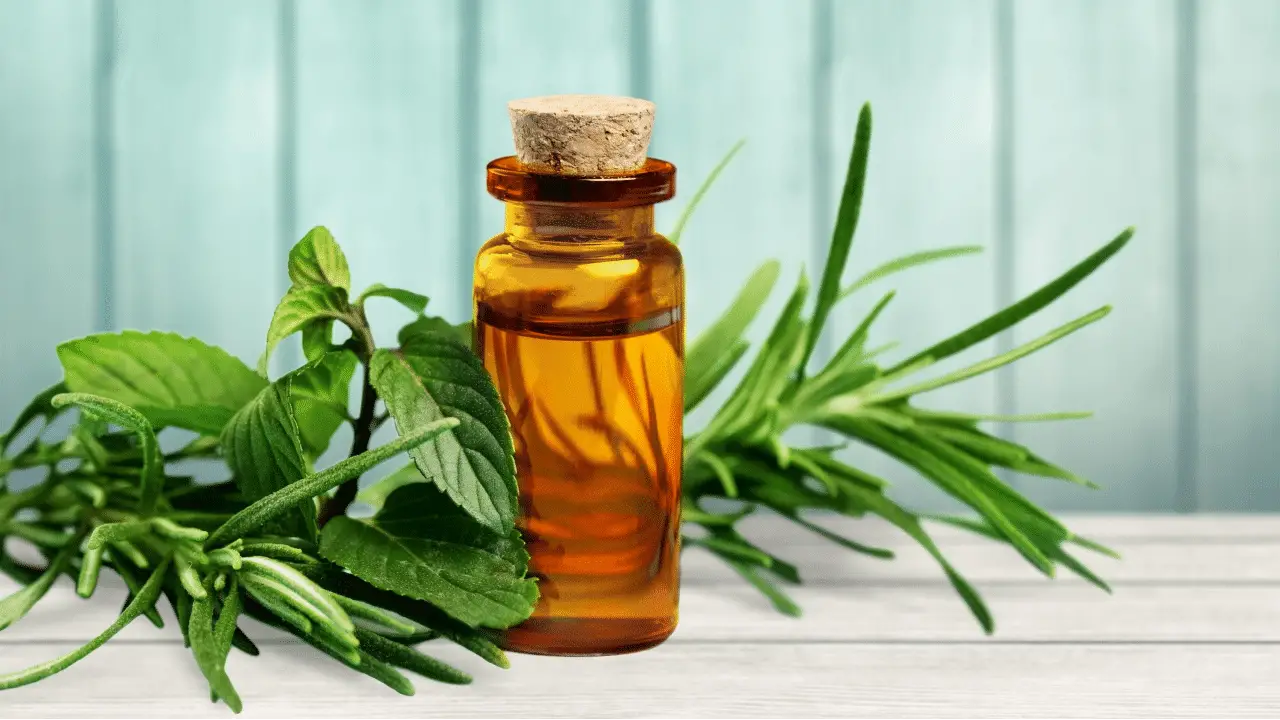 How to Dilute Tea Tree Oil? – 2 Unbelievable Ways