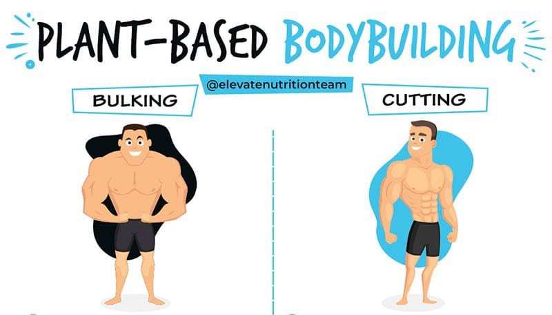 bulking and cutting