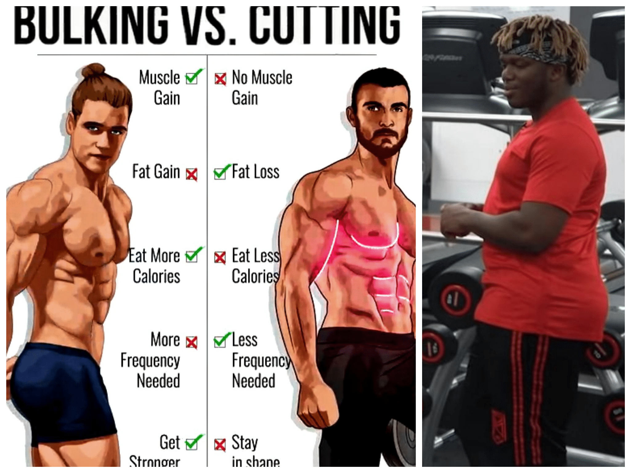 bulking and cutting