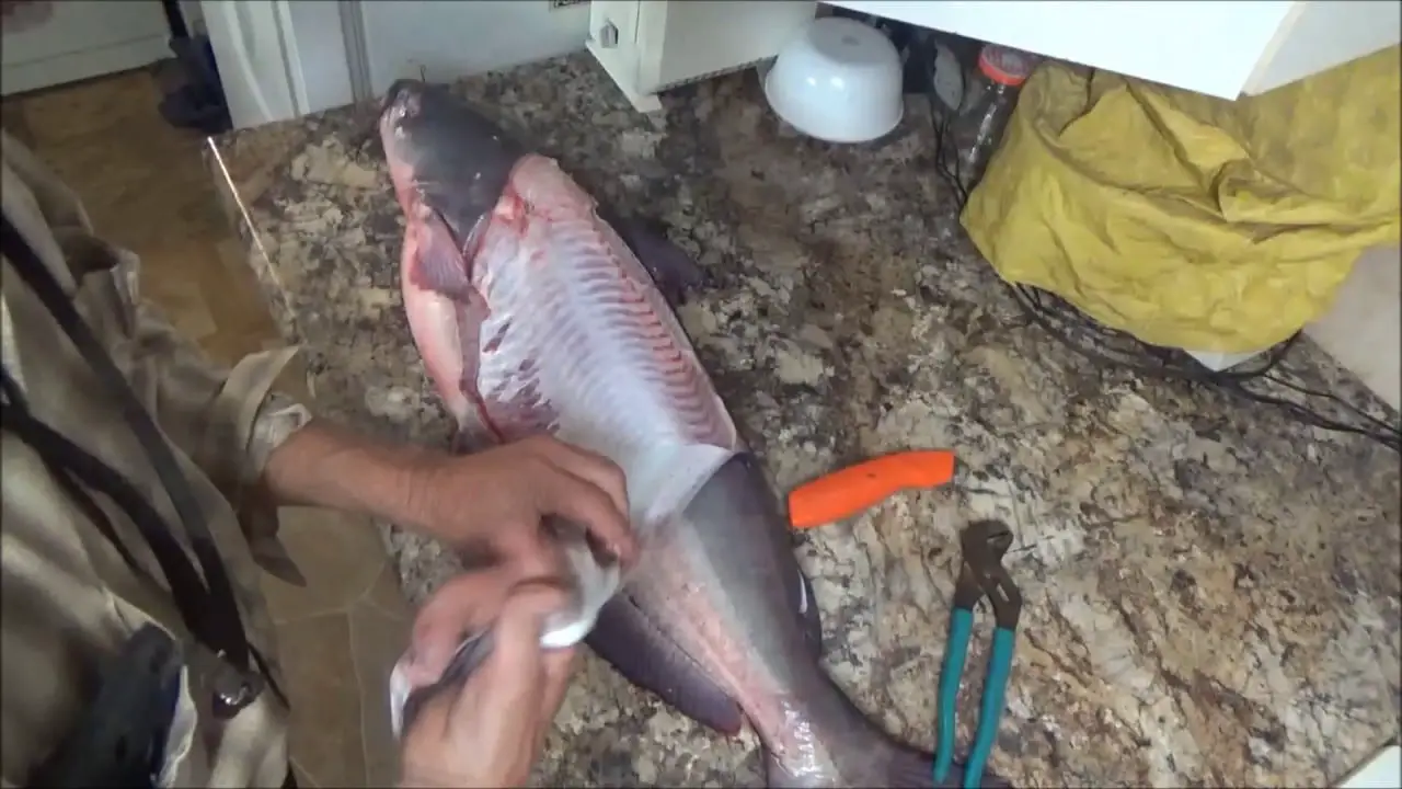 how to clean a catfish