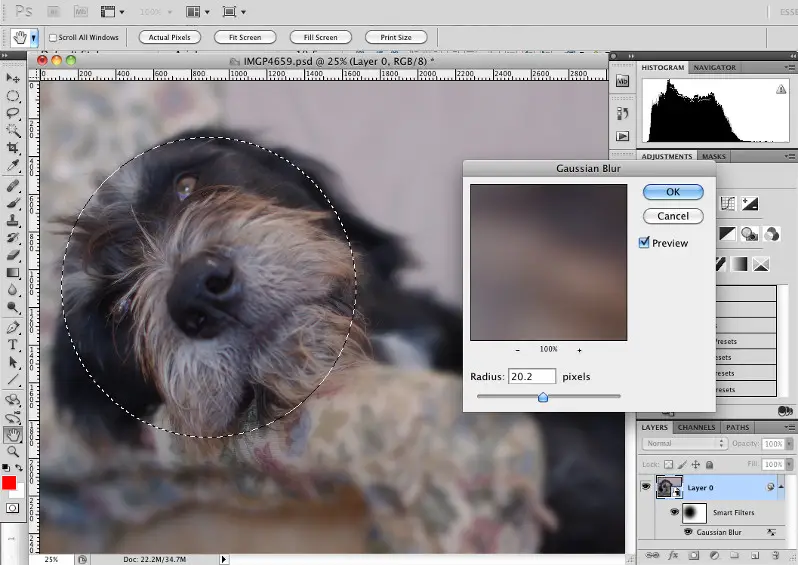 how to blur in photoshop