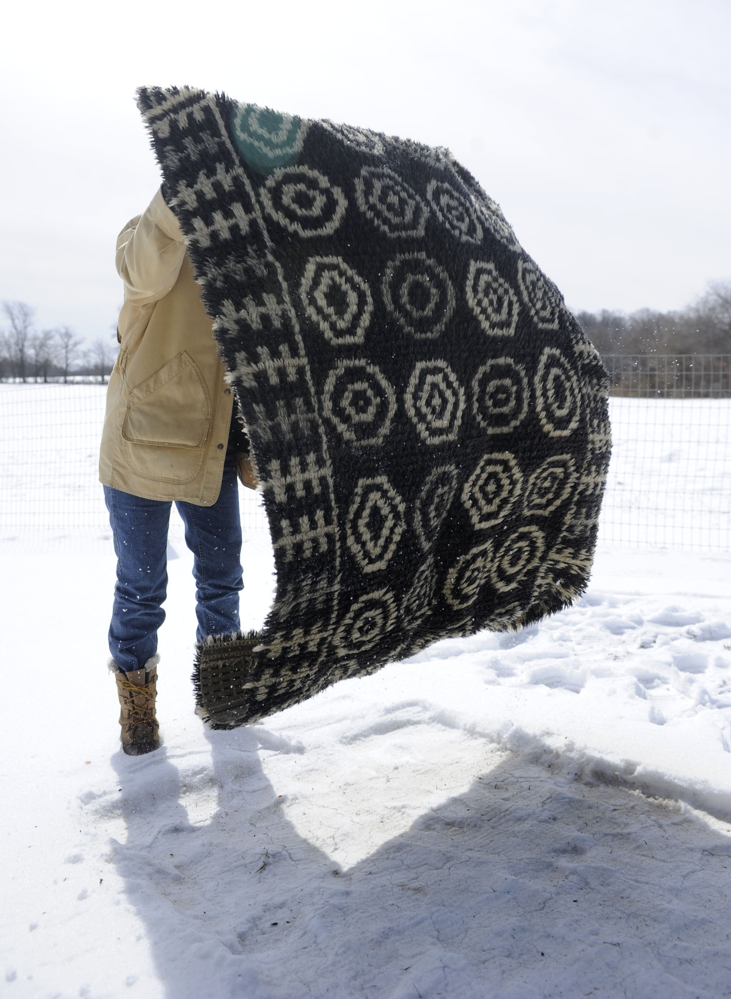 how to clean a shag rug