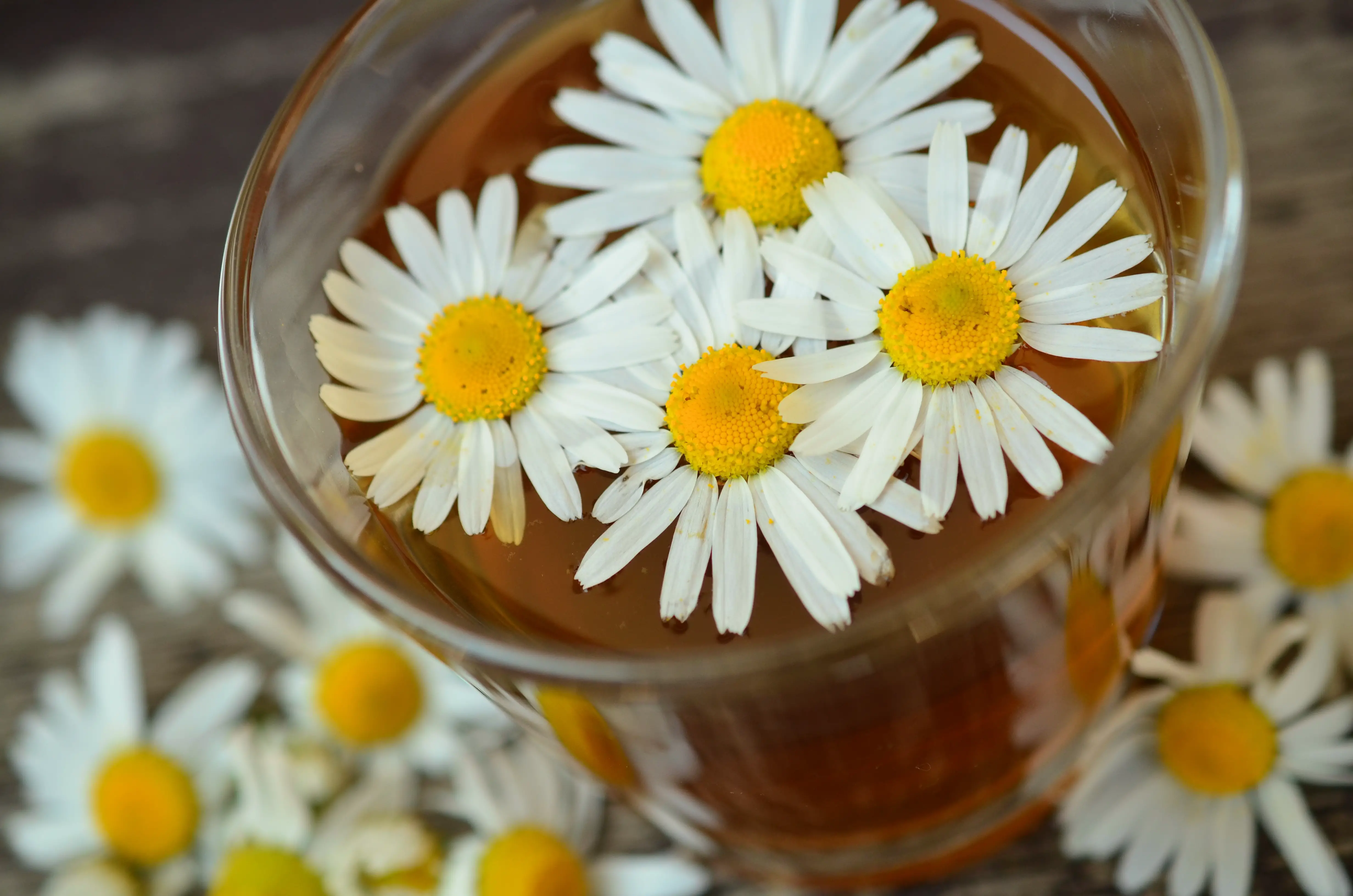 anti-inflammatory tea, chamomile, tea, drink
