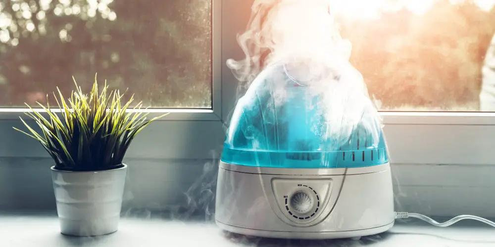 How To Clean A Humidifier In 3 Easy Ways