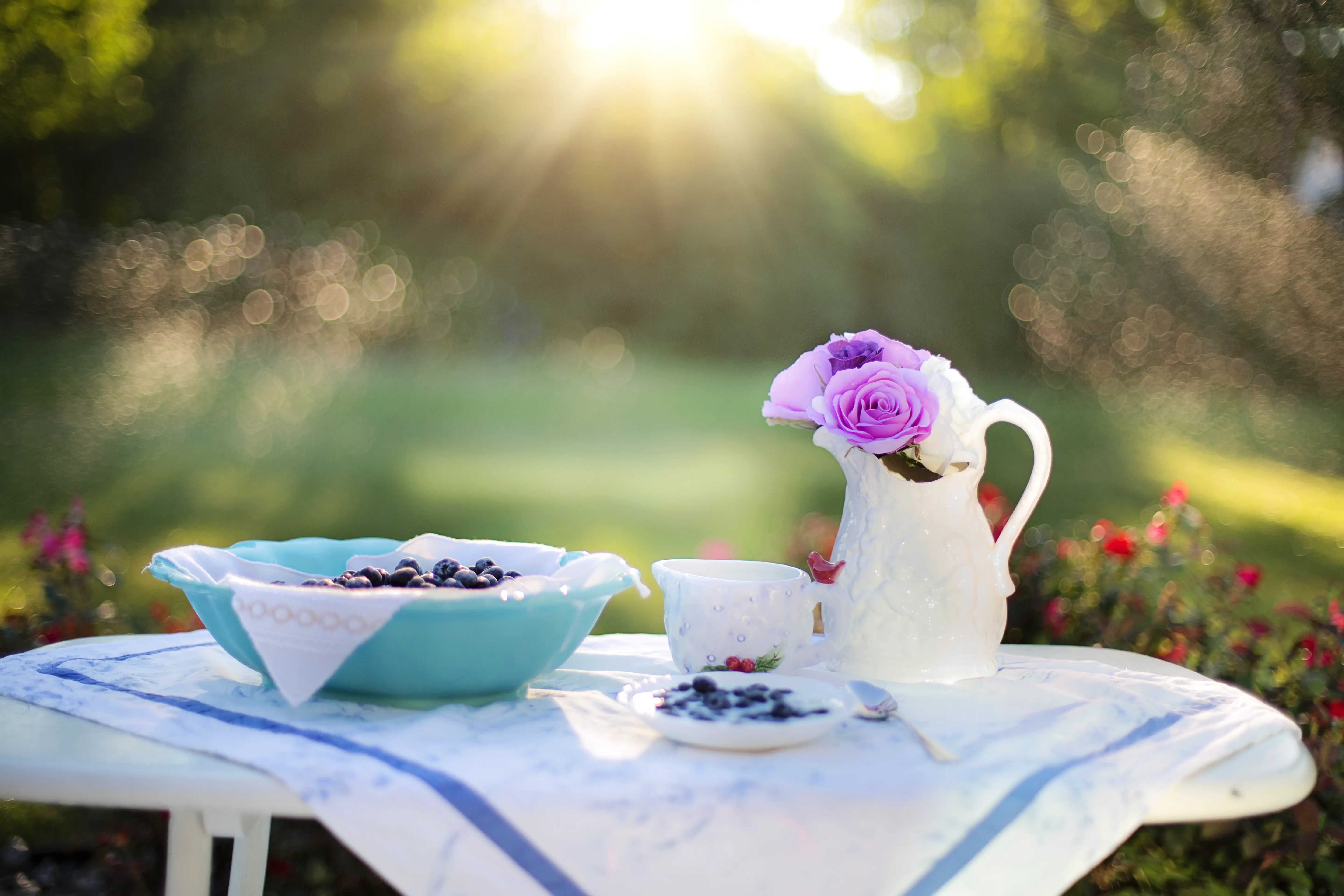 blueberry, breakfast, sunlight. 3000 calorie meal plan