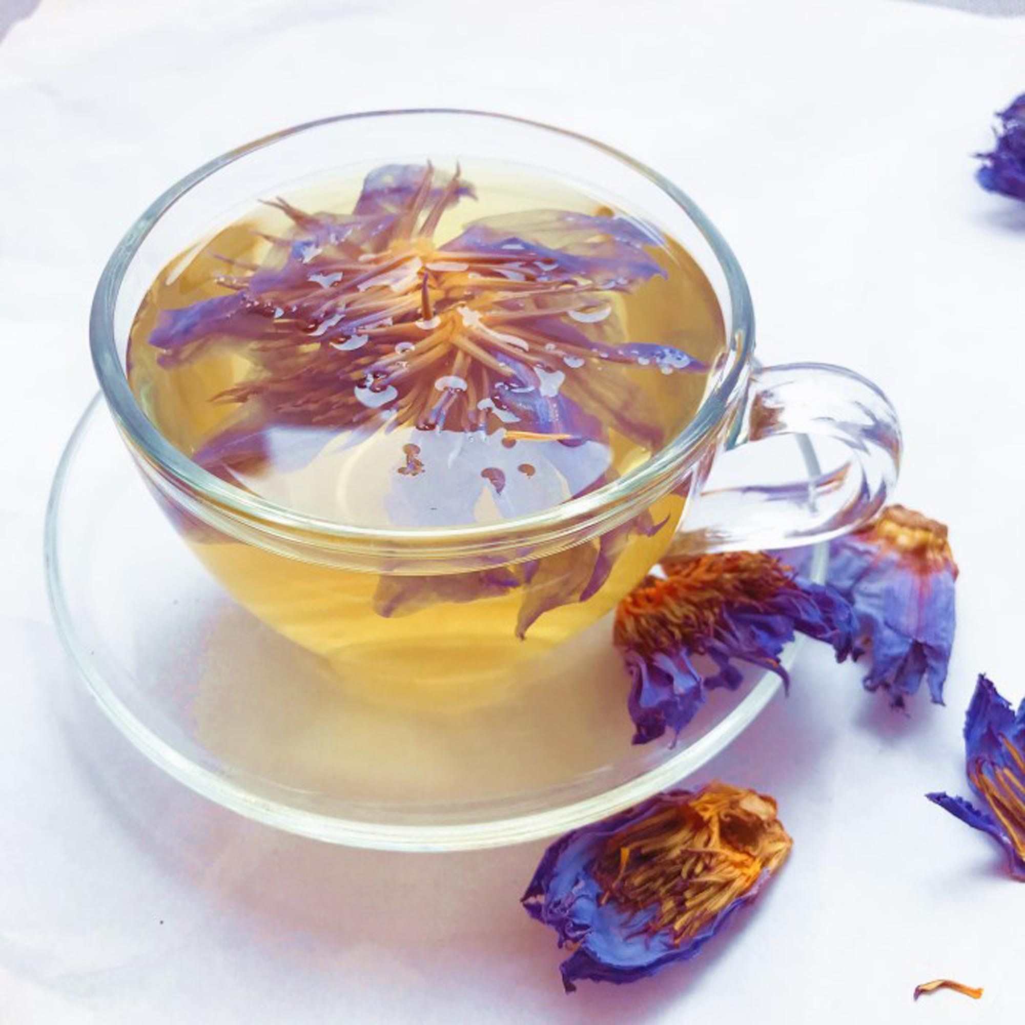 blue lotus tea