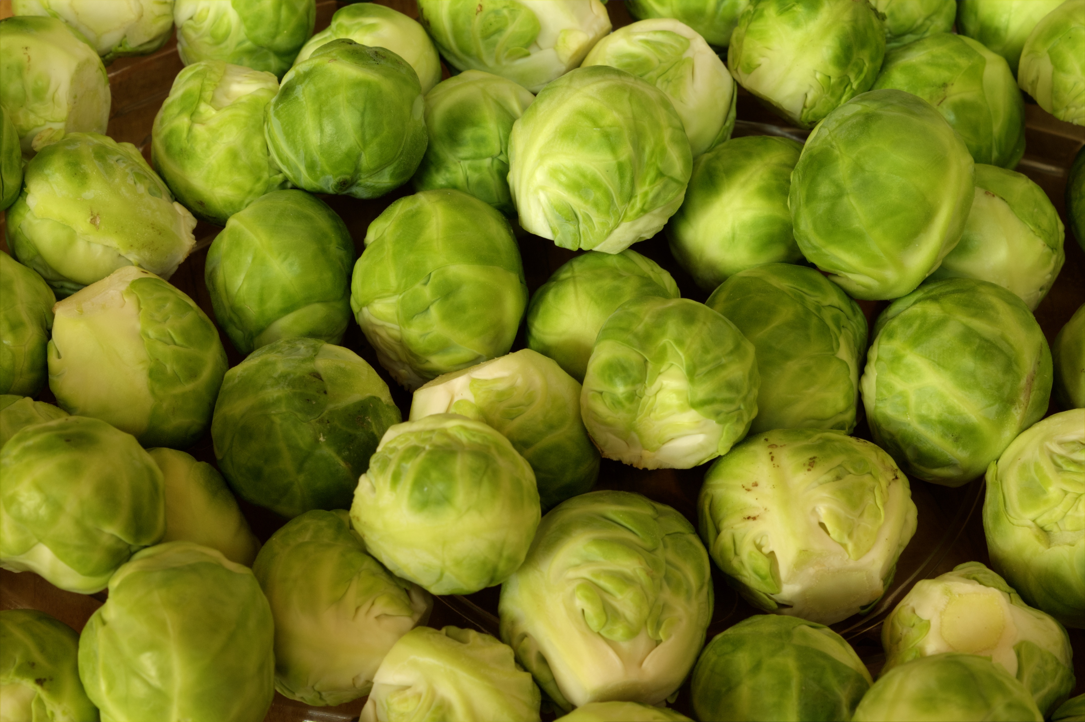 brussels sprouts, vegetables, rosebuds