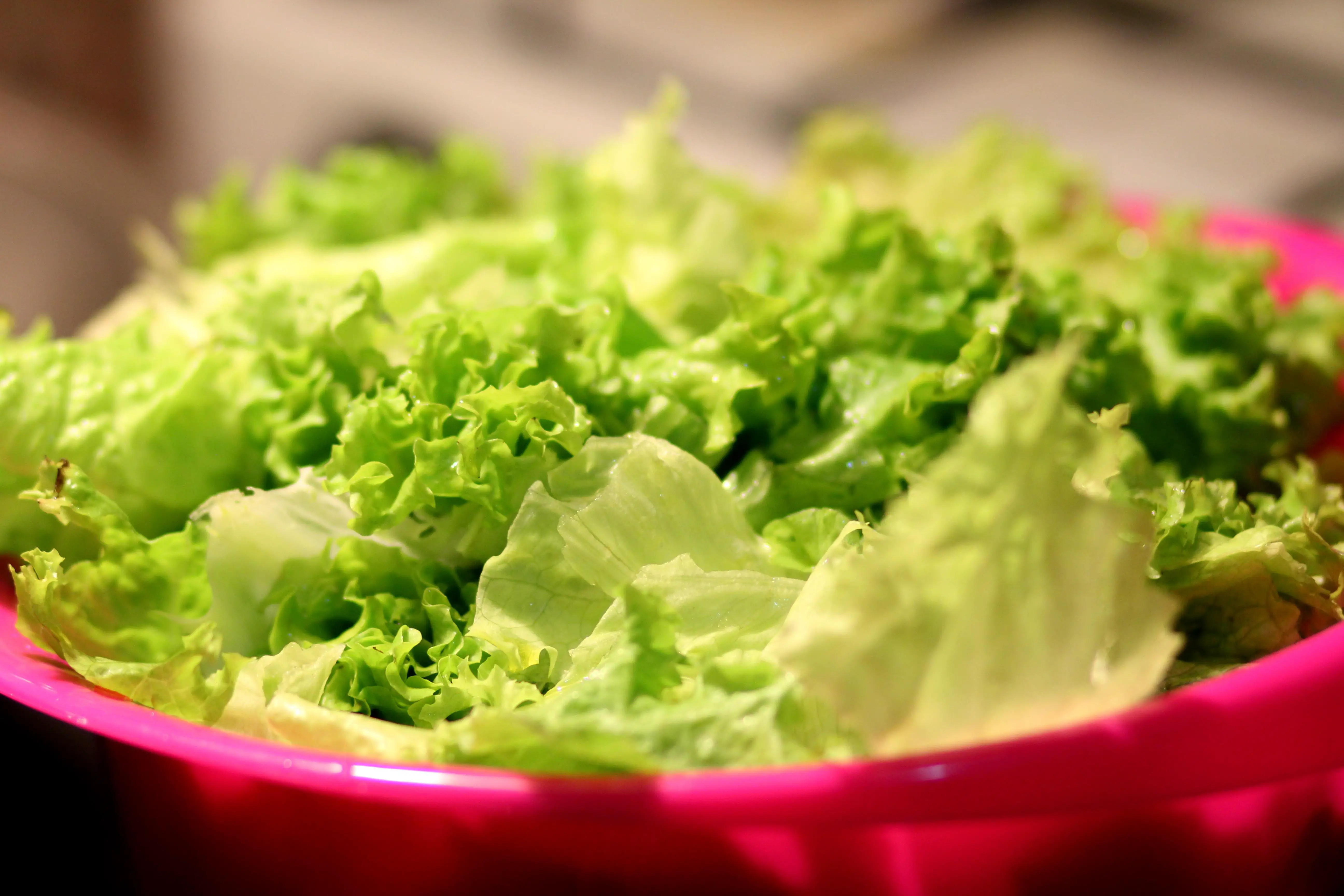 food, salad, lettuce
