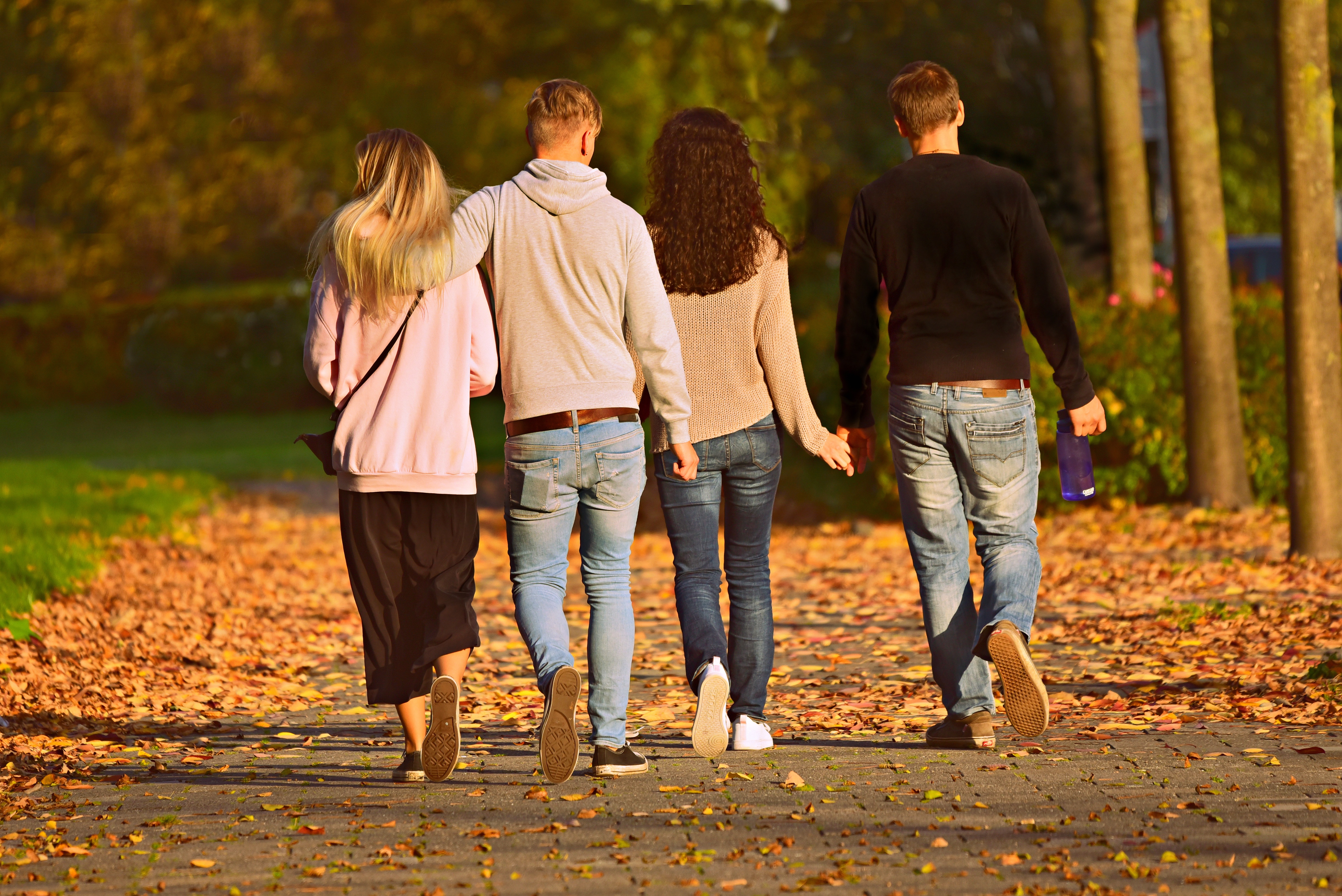 strolling, couples, park