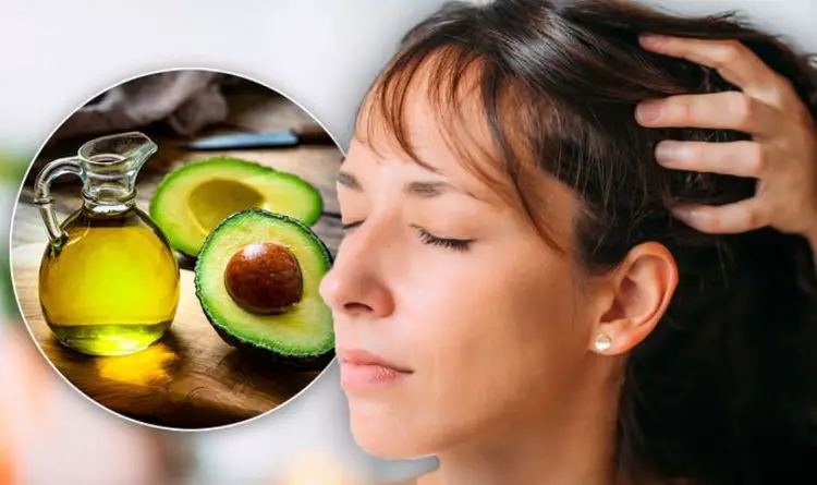 avocado oil for hair