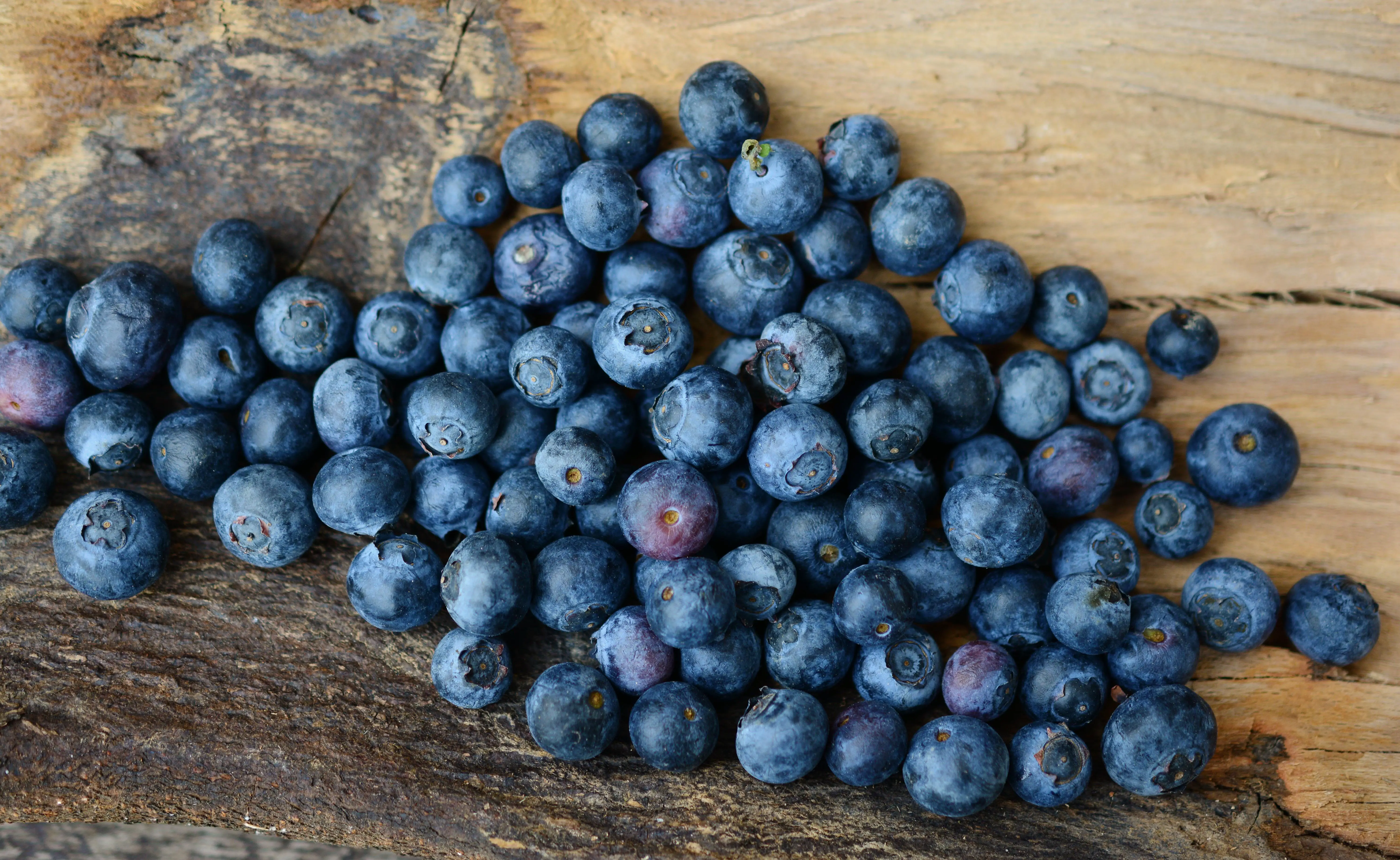 blueberries, berries, fruits