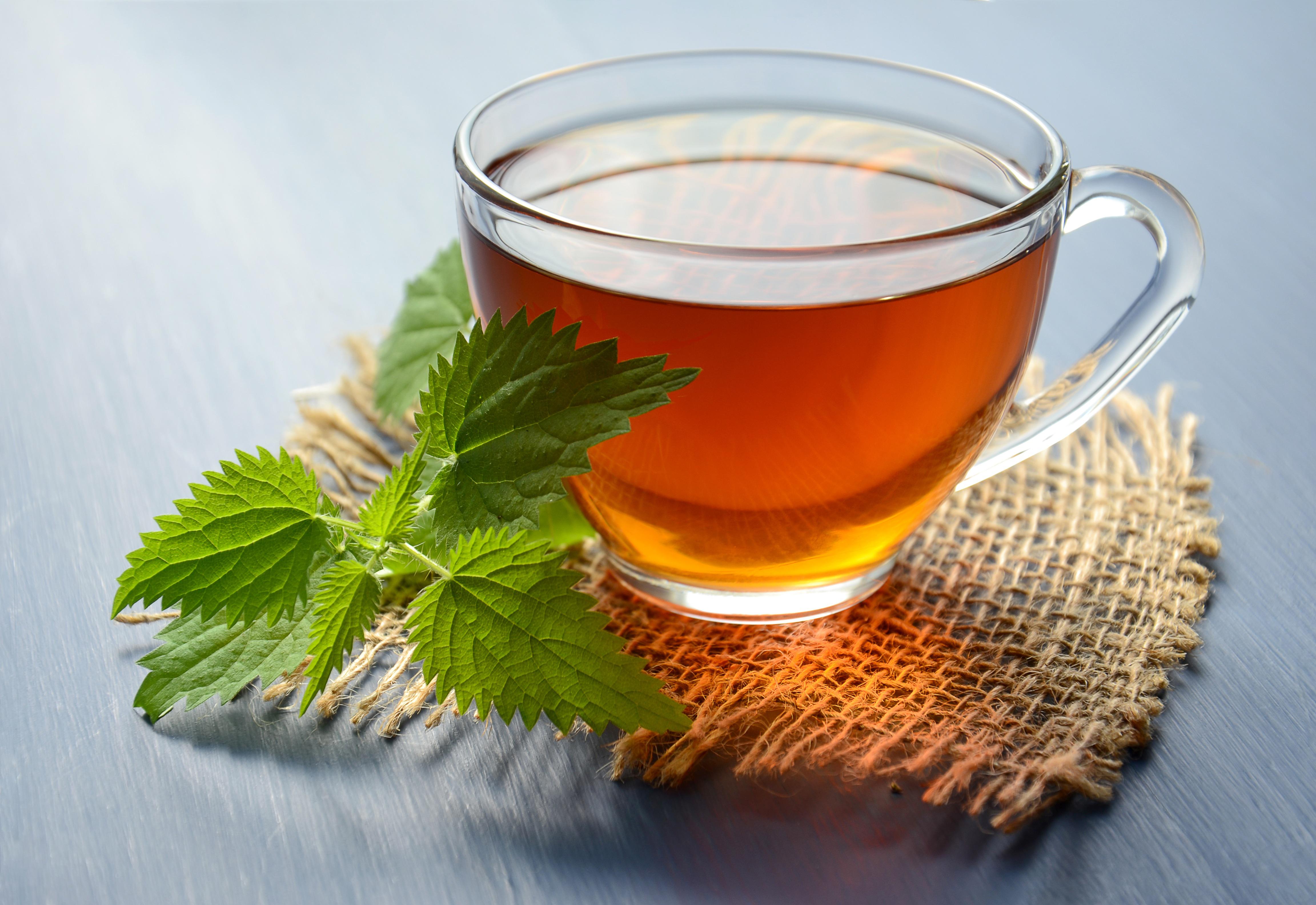 tea, drink, herbal, nettle tea benefits