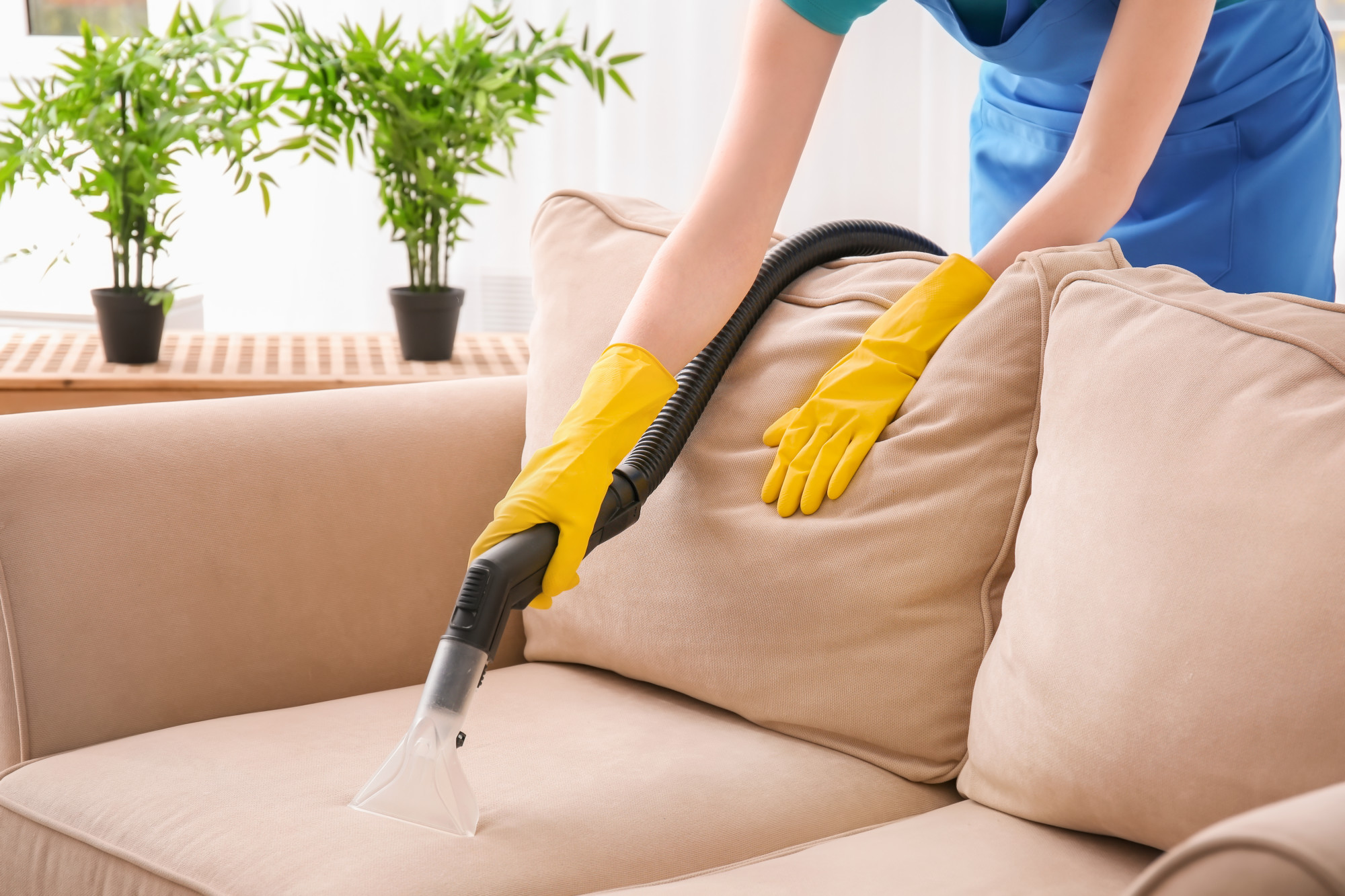 The Definitive Guide to Clean Furniture: 15 Interesting Facts that You should NOT Miss!