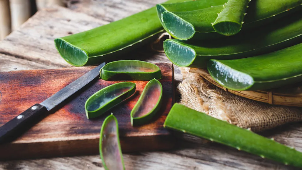 Can you eat aloe vera? Know the 5 best health benefits