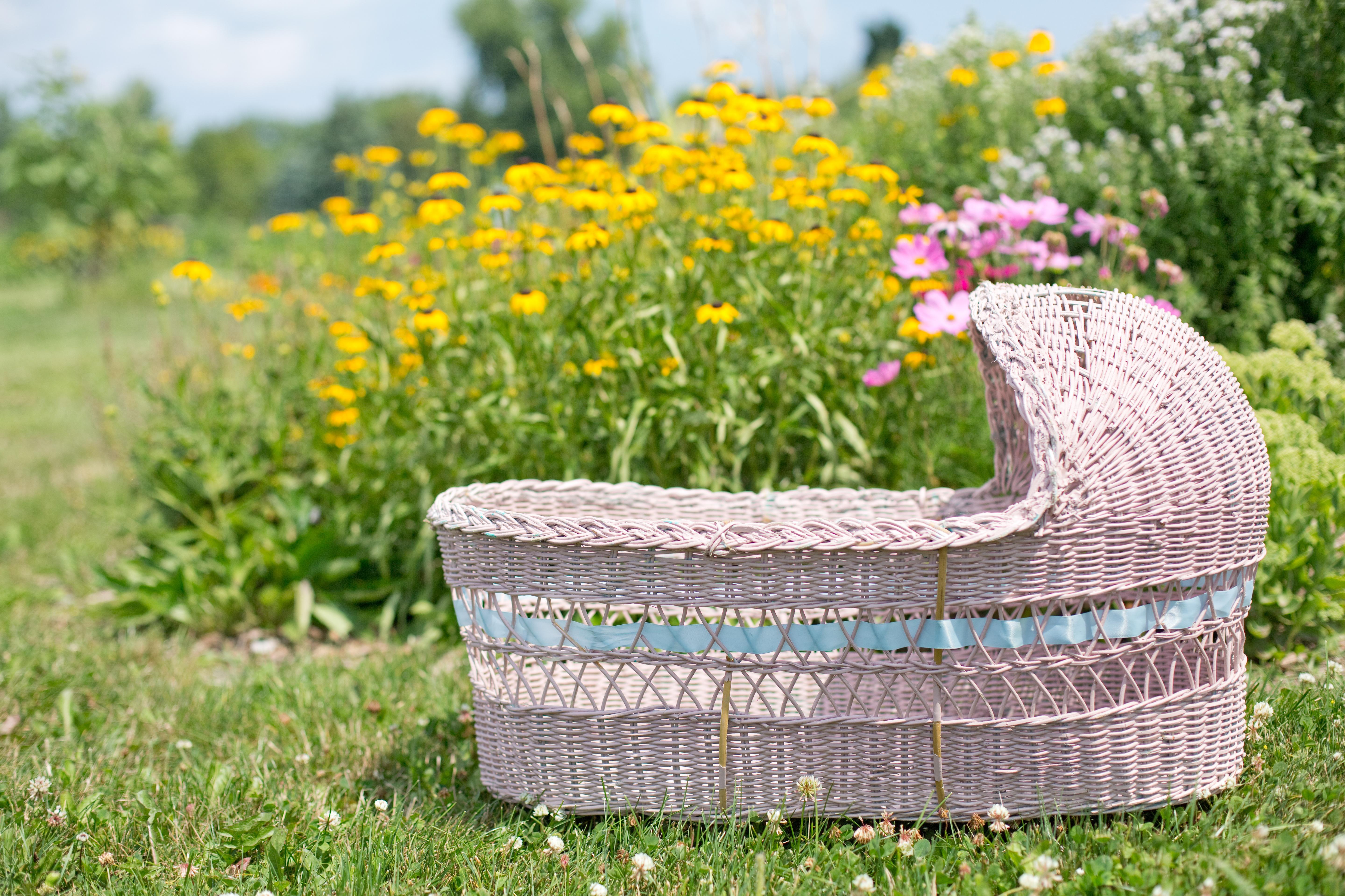 bassinet, pink, wildflowers