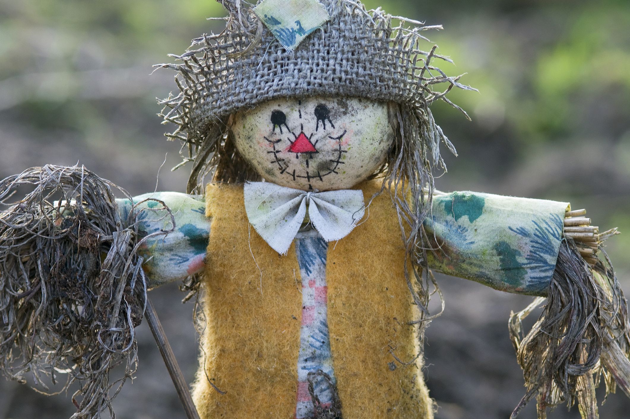 Scarecrow Ideas: Top 11 Interesting DIY Ideas to Try this Autumn