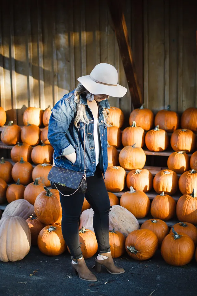 Pumpkin Patch Outfit