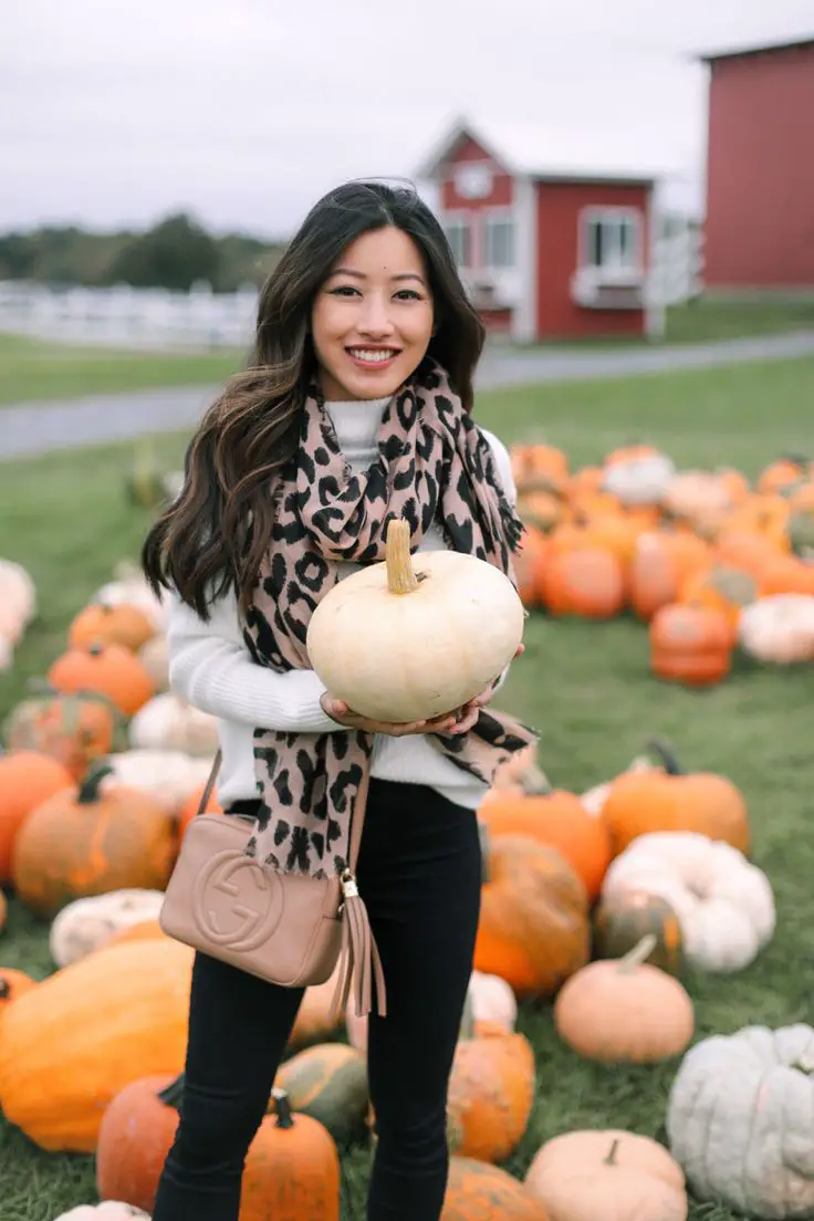 Pumpkin Patch Outfit