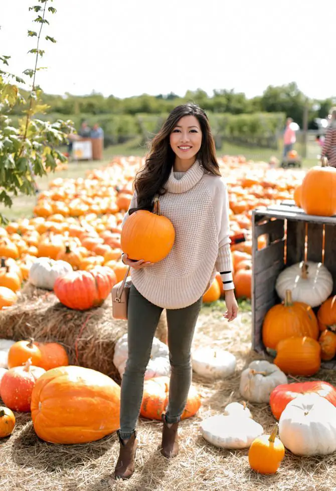 Pumpkin Patch Outfit