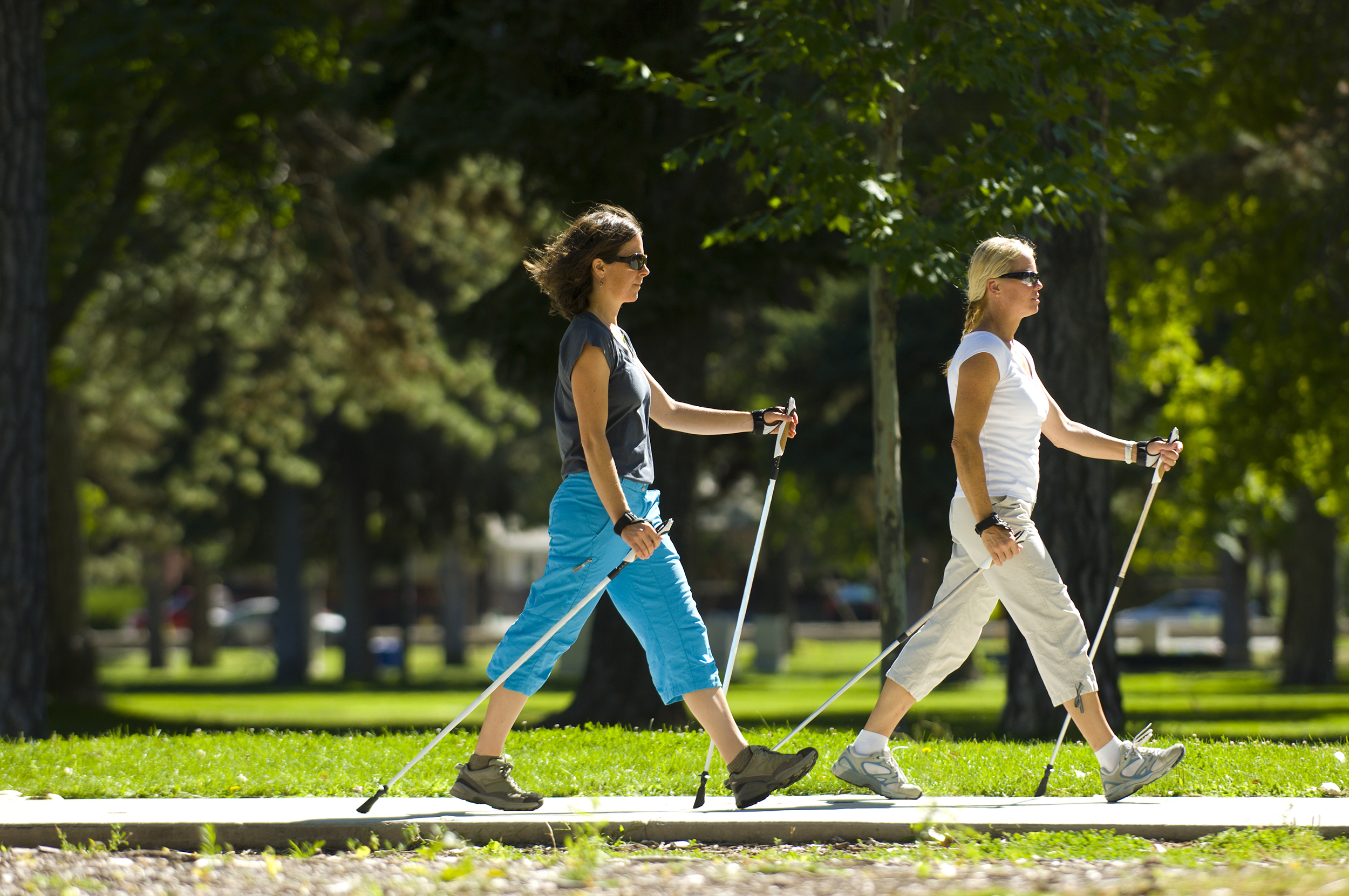 nordic walking